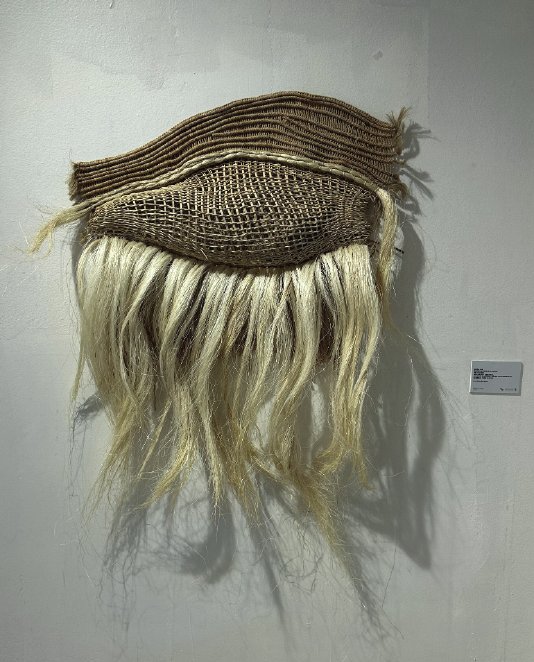 Capisayo